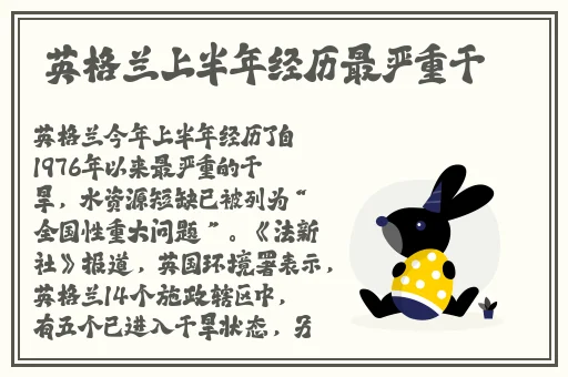 草莓香蕉榴莲黄瓜丝瓜茄子